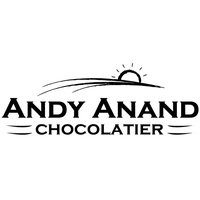 Andyanand logo