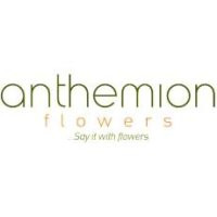Anthemion Flowers logo