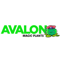 avalon-magic-plants-shop-be.png
