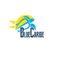 Blue Caribe Tours logo