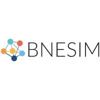 BNESIM logo