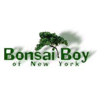 Bonsai Boy of New York logo