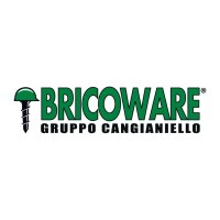 bricoware-shop-it.png