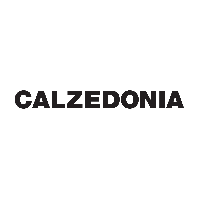 calzedonia-shop-es.png