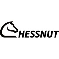 Chessnut logo