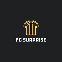 fc-surprise-shop-nl.jpg