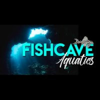 fishcave-aquatics-shop-gb.jpg