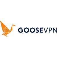 goose-vpn-shop-it.png
