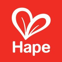 Hape Toys logo