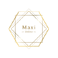 maxi-meilleur-shop-nl.png
