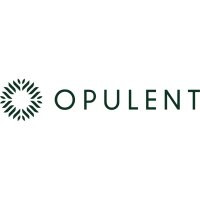 opulent-co-shop-gb.jpg