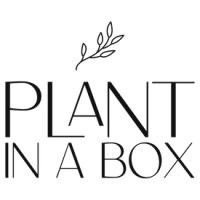 plant-in-a-box-shop-gb.jpg