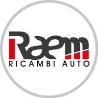 Raem Ricambi auto logo