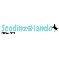 Scodinzolando logo