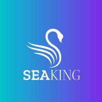 seaking-bracelets-shop-fr.png