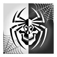 SpyderWare Inc logo