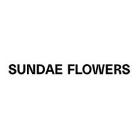 sundae-flowers-shop-us.jpg