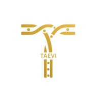 taevi-shop-us.jpg