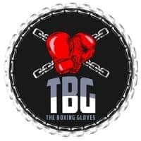 The Boxing Gloves logo